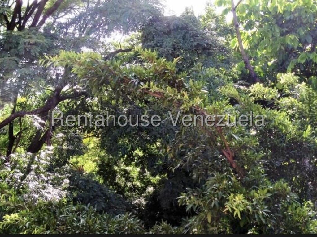 Foto 7 de Casa en Altamira, Caracas