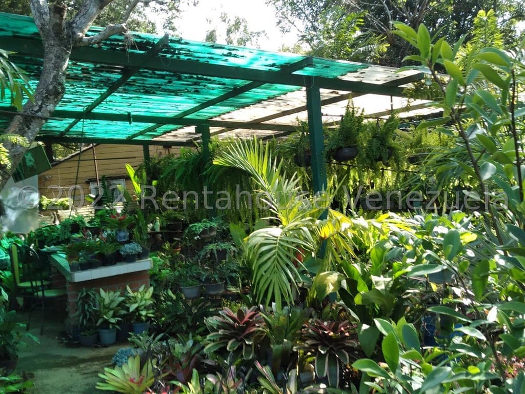 Foto 2 de Terreno en Los Chorros, Caracas