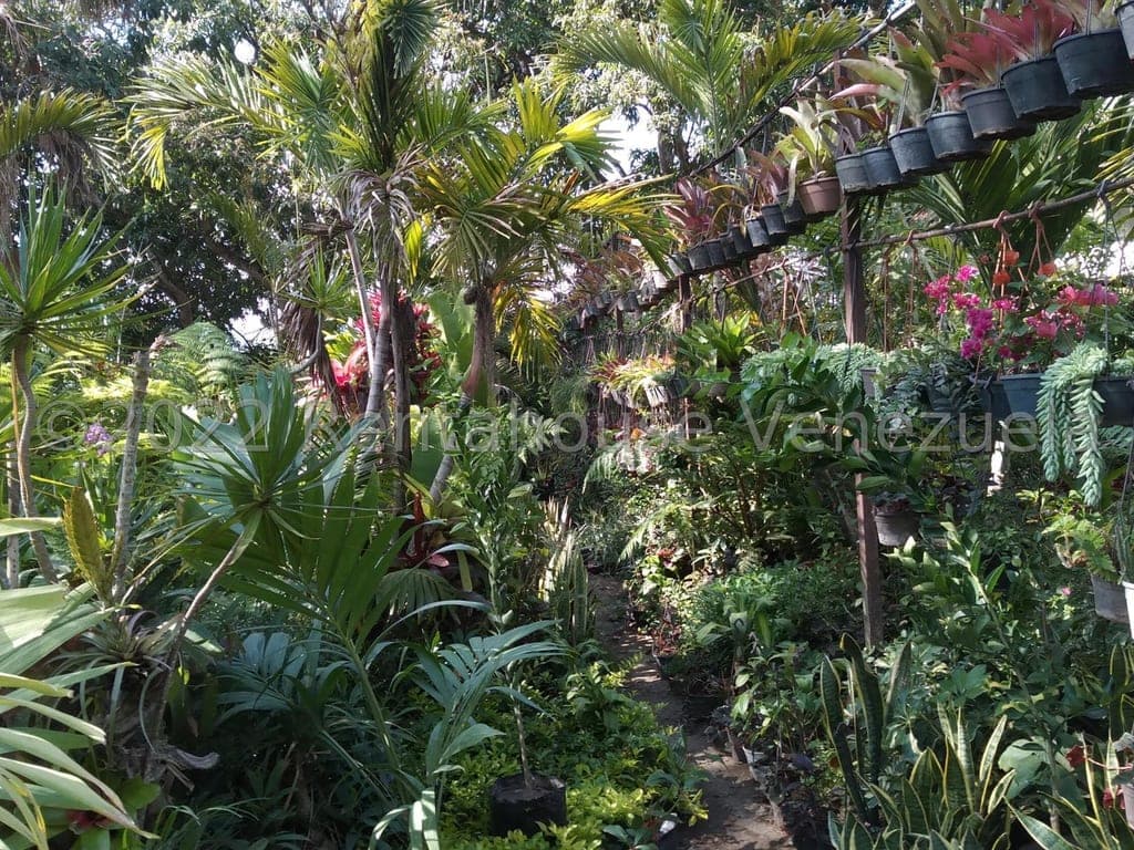 Foto 3 de Terreno en Los Chorros, Caracas