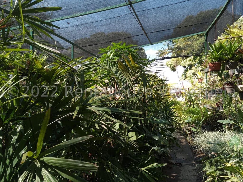 Foto 5 de Terreno en Los Chorros, Caracas