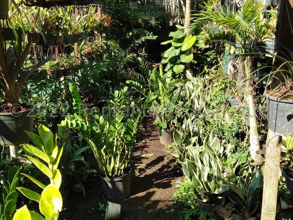 Foto 6 de Terreno en Los Chorros, Caracas
