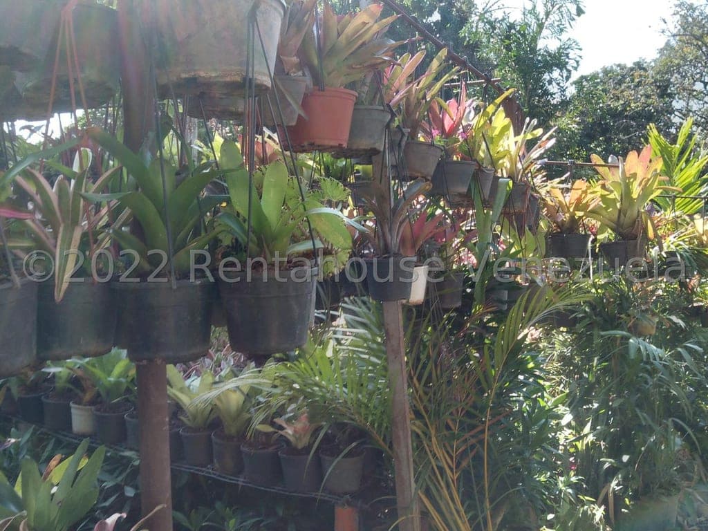 Foto 9 de Terreno en Los Chorros, Caracas