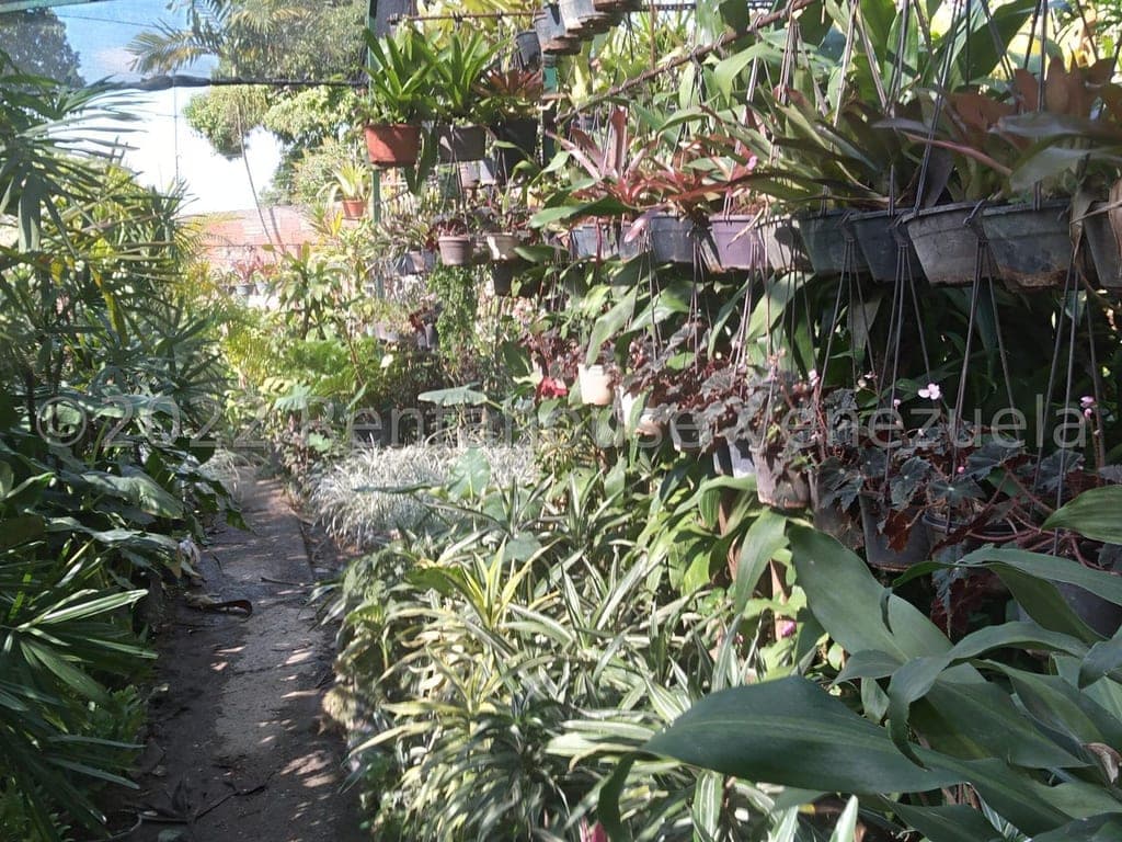 Foto 10 de Terreno en Los Chorros, Caracas