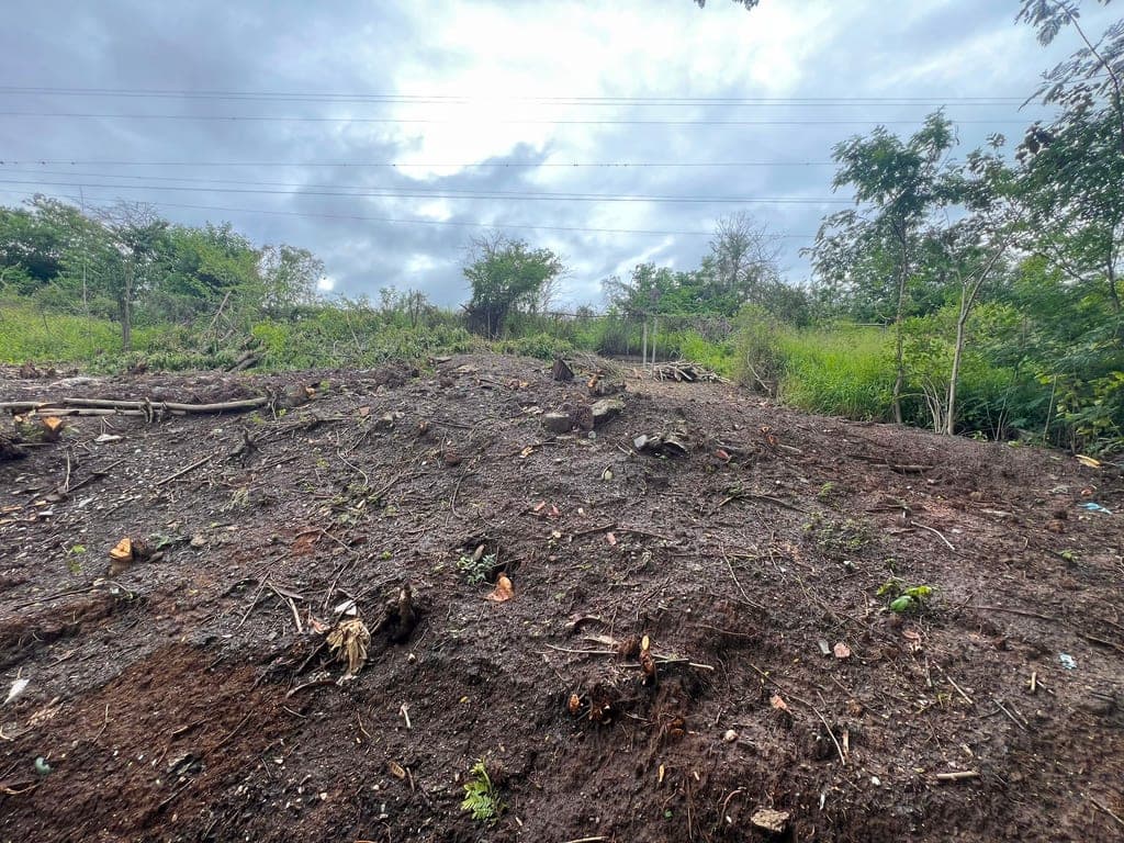 Foto 9 de Galpón en Santa Rosa, Barquisimeto